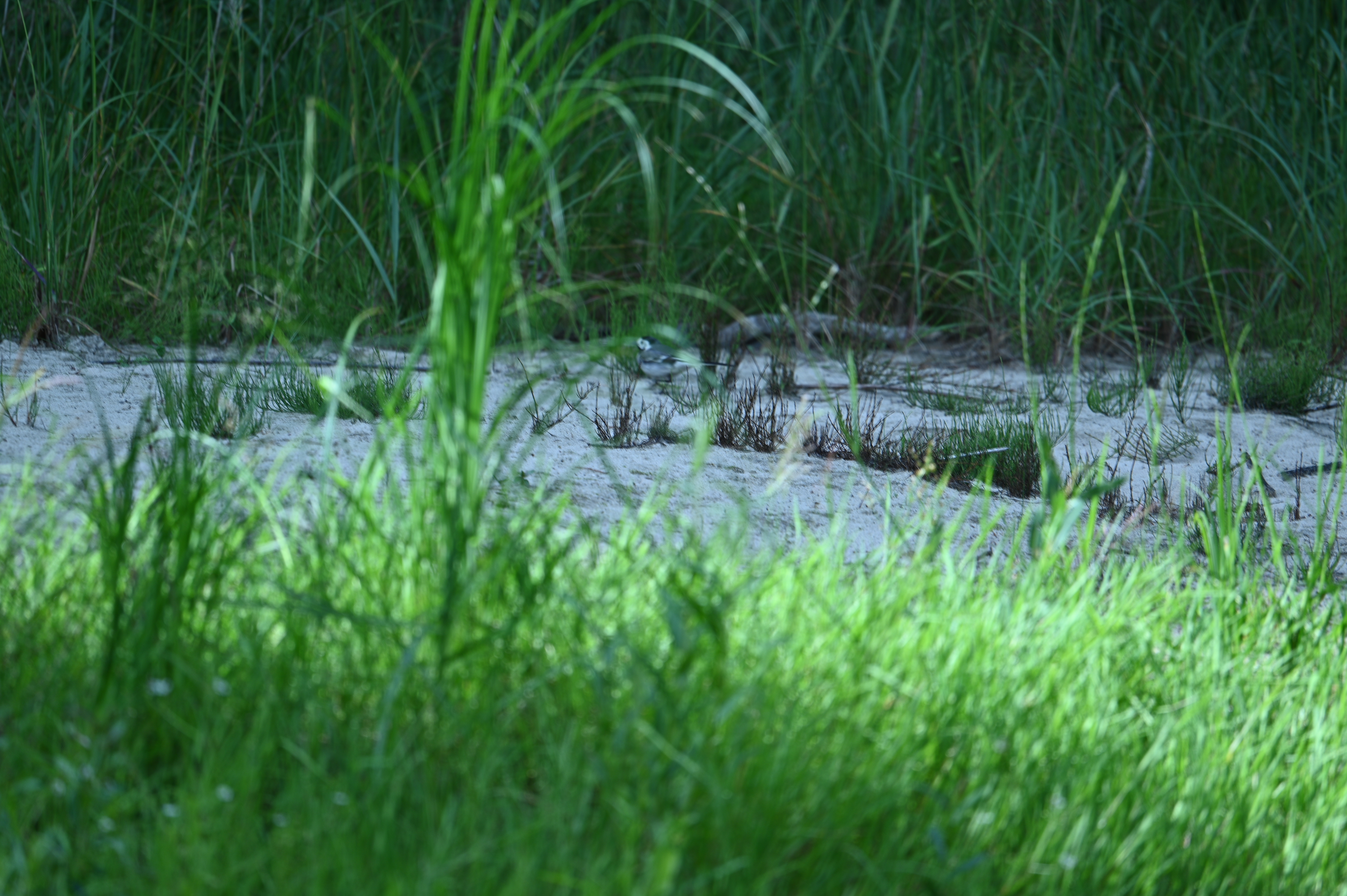 2025/07/09-14 - trip/DSC_0327.JPG